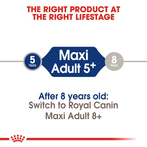 ROYAL CANIN MAXI Adult 5+ Trockenfutter für ältere große Hunde