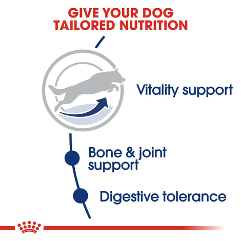 ROYAL CANIN MAXI Adult 5+ Trockenfutter für ältere große Hunde