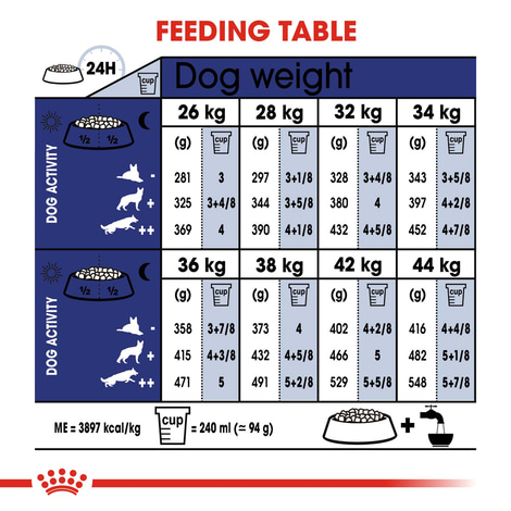 ROYAL CANIN MAXI Adult 5+ Trockenfutter für ältere große Hunde