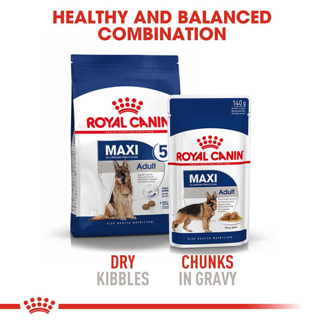 ROYAL CANIN MAXI Adult 5+ Trockenfutter für ältere große Hunde