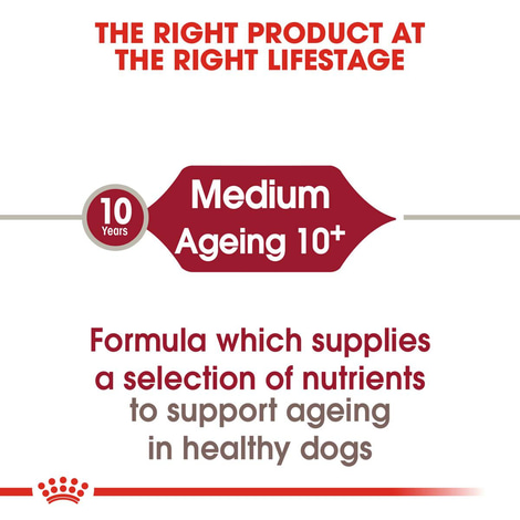 ROYAL CANIN MEDIUM Ageing 10+ Trockenfutter für ältere mittelgroße Hunde