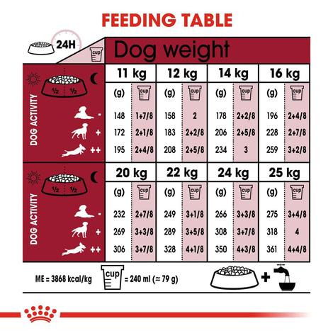 ROYAL CANIN MEDIUM Ageing 10+ Trockenfutter für ältere mittelgroße Hunde