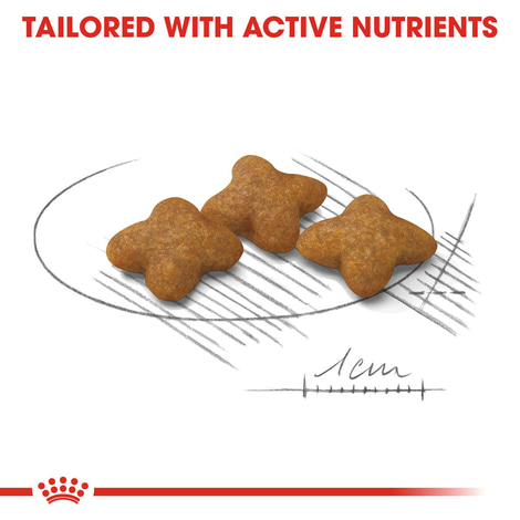ROYAL CANIN STERILISED X-SMALL Trockenfutter für kastrierte sehr kleine Hunde