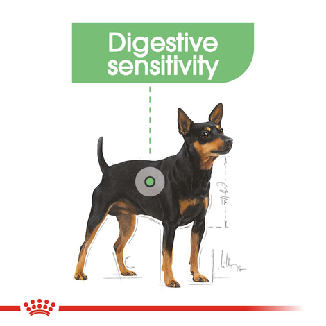 ROYAL CANIN DIGESTIVE CARE MINI Trockenfutter für kleine Hunde mit empfindlicher Verdauung