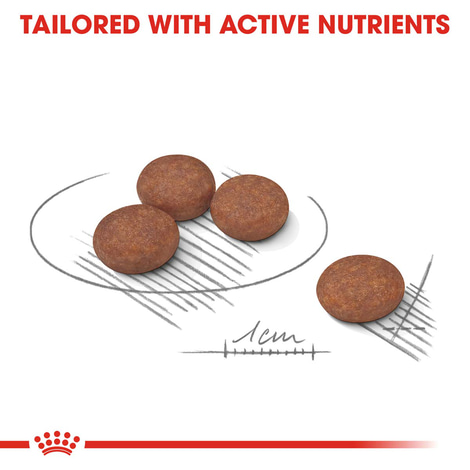 ROYAL CANIN DIGESTIVE CARE MINI Trockenfutter für kleine Hunde mit empfindlicher Verdauung