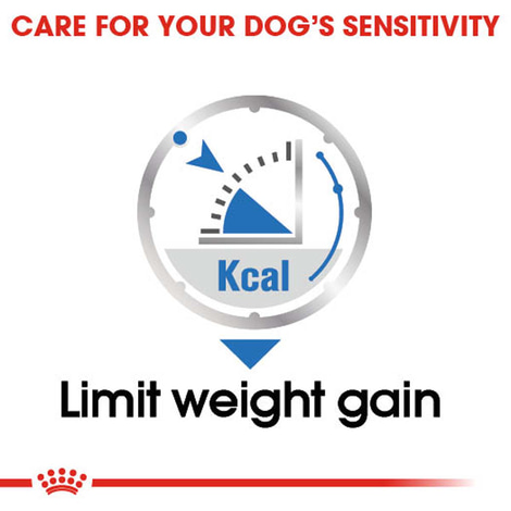ROYAL CANIN LIGHT WEIGHT CARE Nassfutter für Hunde mit Neigung zu Übergewicht12x85g