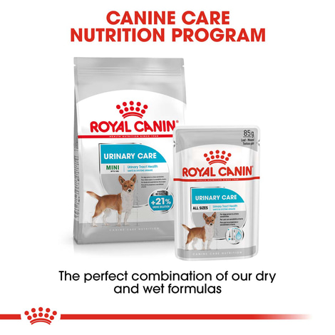 ROYAL CANIN Urinary Care MINI Trockenfutter für kleine Hunde mit empfindlichen Harnwegen