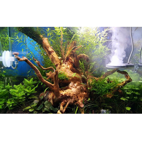TWINSTAR 2 Aquarium-Sterilisator Nano