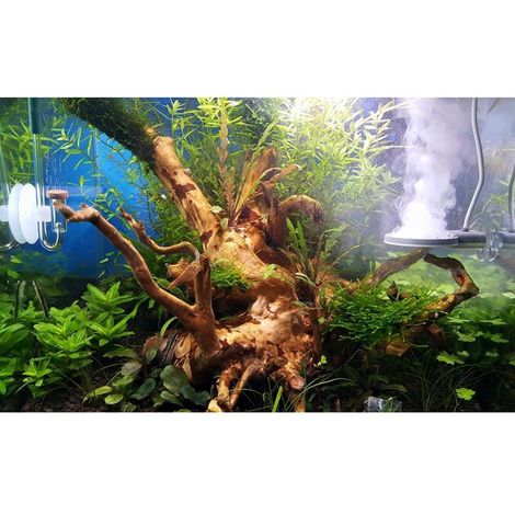 TWINSTAR 2 Aquarium-Sterilisator Nano Plus
