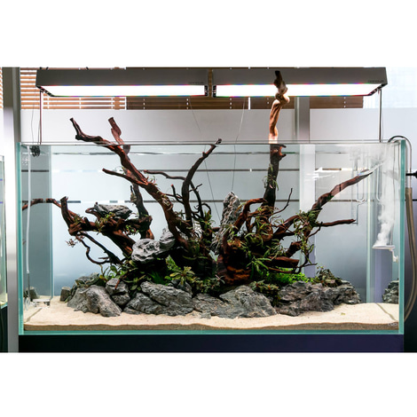 TWINSTAR 2 Aquarium-Sterilisator Nano Plus