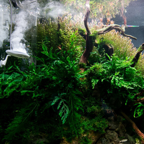TWINSTAR 2 Aquarium-Sterilisator Nano