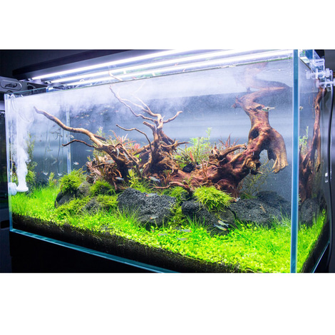 TWINSTAR 2 Aquarium-Sterilisator Nano