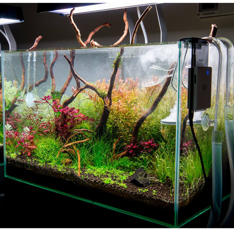 TWINSTAR 2 Aquarium-Sterilisator M3