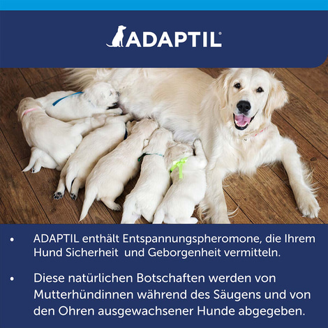 Adaptil Halsband für große Hunde