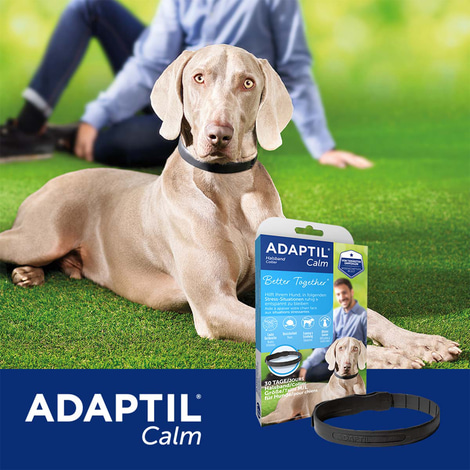 Adaptil Halsband für große Hunde