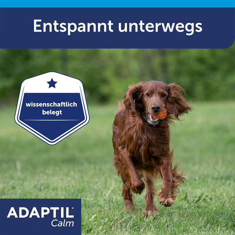 Adaptil Halsband für große Hunde