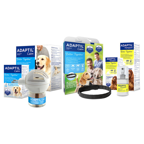 Adaptil Halsband für Welpen und kleine Hunde