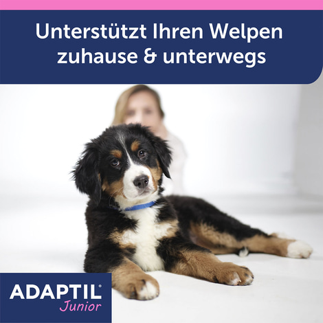Adaptil Junior Halsband