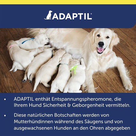 Adaptil Transportspray