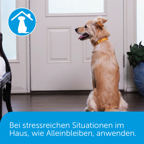 Adaptil Verdampfer Happy Home Start-Set 48ml