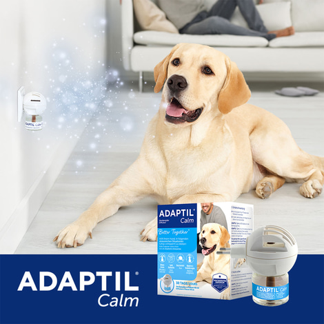 Adaptil Verdampfer Happy Home Start-Set 48ml