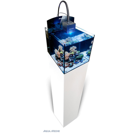 Aqua Medic Blenny Cube