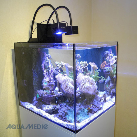 Aqua Medic Cubicus CF Cube