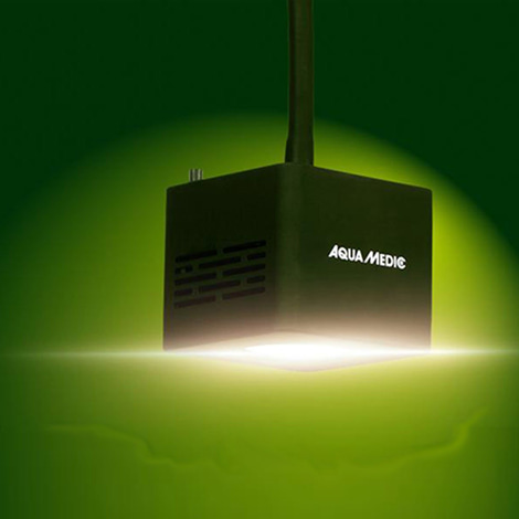 Aqua Medic Qube 50 plant