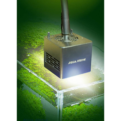 Aqua Medic Qube 50 plant