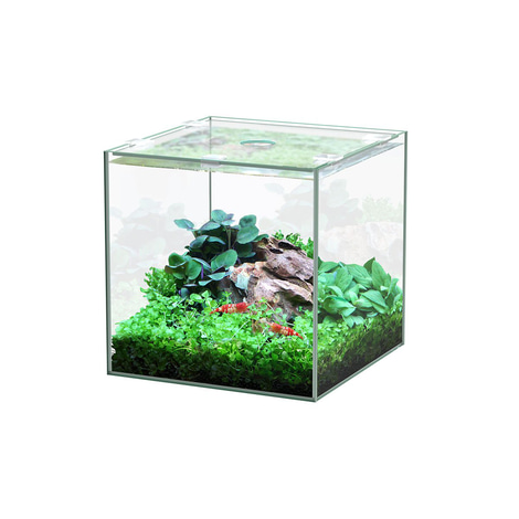 Aquatlantis Aquarium Set Kubus LED