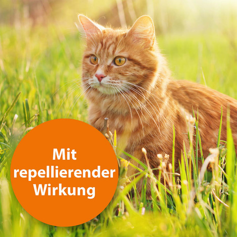ARDAP Spot-On für Katzen