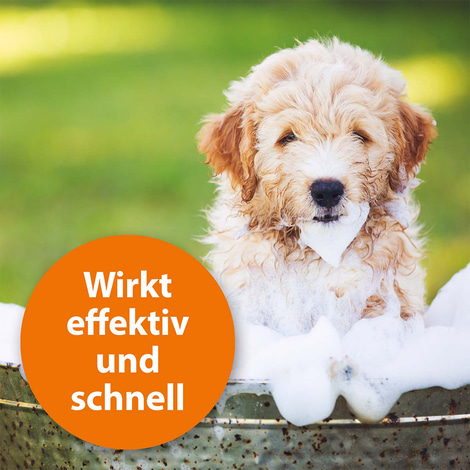 ARDAP Anti-Floh Shampoo für Hunde 250 ml