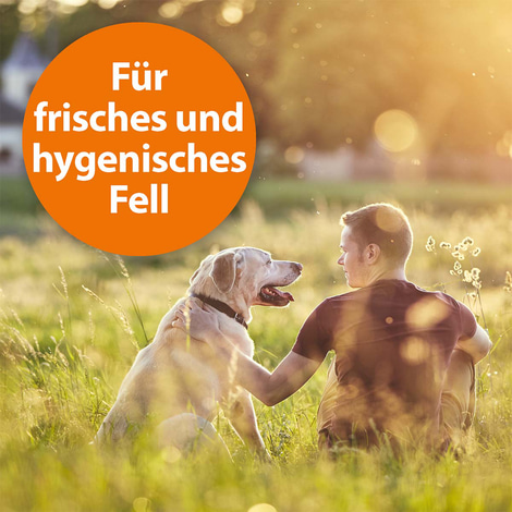 ARDAP Anti-Floh Shampoo für Hunde 250 ml