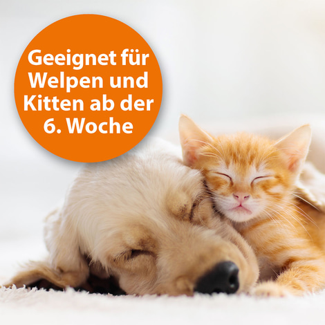 ARDAP Flohspray zur Anwendung am Tier