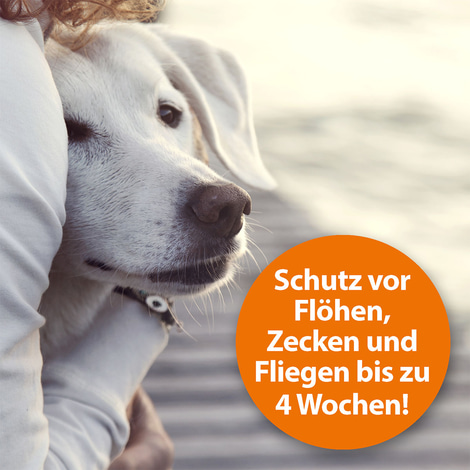 ARDAP Flohspray zur Anwendung am Tier