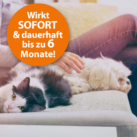 ARDAP Langzeit Ungezieferbekämpfungs-Set