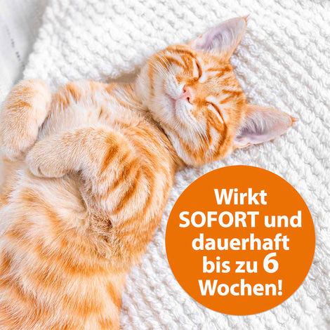 ARDAP Langzeit Flohspray für die Umgebung