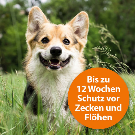 ARDAP Spot-On für Hunde