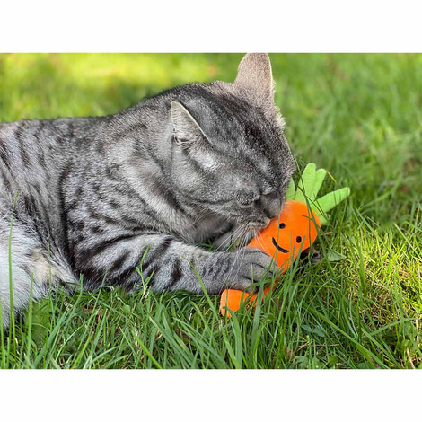 Aumüller Katzenspielkissen Karotte mit Baldrian