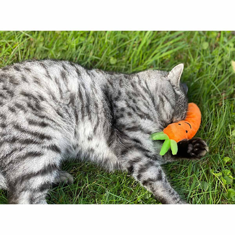 Aumüller Katzenspielkissen Karotte mit Baldrian