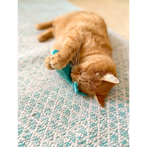 Aumüller Katzenspielkissen Wal