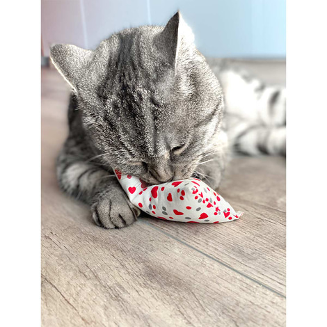 Aumüller Katzenspielkissen Minzini
