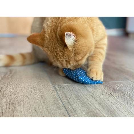 Aumüller Katzenspielkissen Minzini