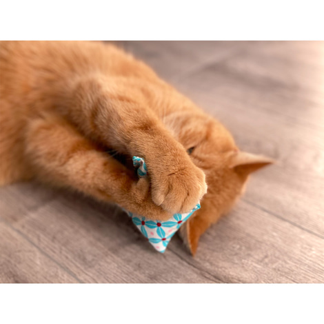 Aumüller Katzenspielkissen Minzini