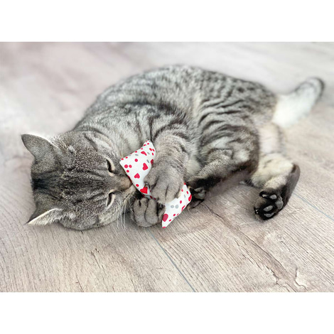 Aumüller Katzenspielkissen Minzini
