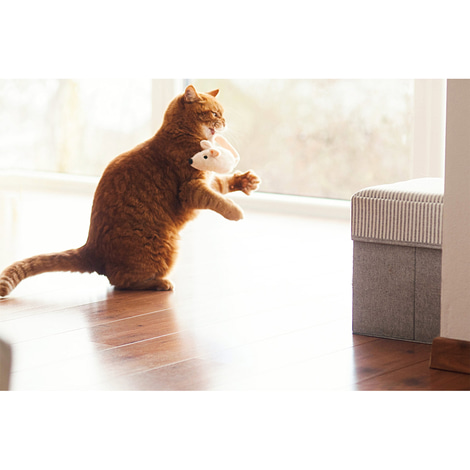 Aumüller Katzenspielkissen Baldi Maus Beige