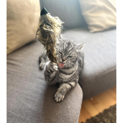 Aumüller Katzenangel Woozle