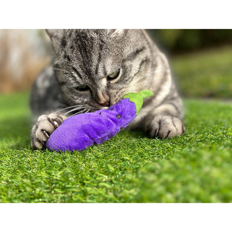 Aumüller Katzenspielkissen Aubergine