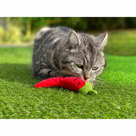 Aumüller Katzenspielkissen Chili
