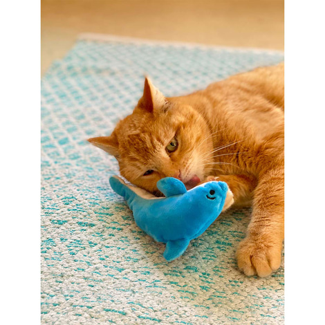 Aumüller Katzenspielkissen Delfin Danny